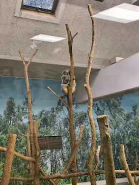 鹿児島市平川動物公園に投稿された画像（2026/5/3）