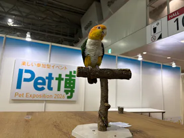 Pet博2026 幕張に投稿された画像（2026/5/3）