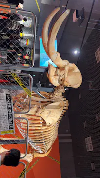 特別展「超危険生物展　科学で挑む生き物の本気」に投稿された画像（2026/5/3）