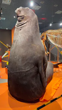 特別展「超危険生物展　科学で挑む生き物の本気」に投稿された画像（2026/5/3）