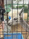 天王寺動物園に投稿された画像（2026/5/3）