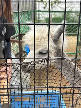 天王寺動物園に投稿された画像（2026/5/3）