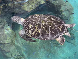 名古屋港水族館に投稿された画像（2026/5/3）