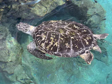名古屋港水族館に投稿された画像（2026/5/3）