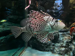 名古屋港水族館に投稿された画像（2026/5/3）