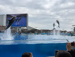 名古屋港水族館に投稿された画像（2026/5/3）
