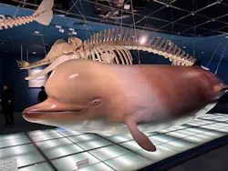 名古屋港水族館に投稿された画像（2026/5/3）