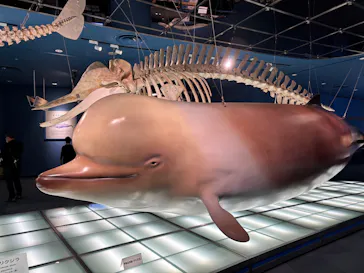 名古屋港水族館に投稿された画像（2026/5/3）