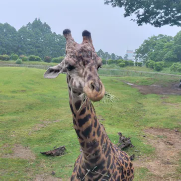 鹿児島市平川動物公園に投稿された画像（2026/5/3）