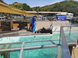 下田海中水族館に投稿された画像（2026/5/3）