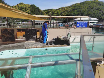 下田海中水族館に投稿された画像（2026/5/3）