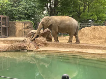 恩賜上野動物園に投稿された画像（2026/5/3）