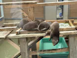 日立市かみね動物園に投稿された画像（2026/5/3）