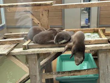日立市かみね動物園に投稿された画像（2026/5/3）