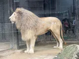 宇都宮動物園に投稿された画像（2026/5/3）