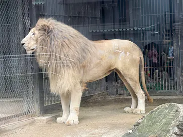 宇都宮動物園に投稿された画像（2026/5/3）