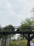 秋田市大森山動物園に投稿された画像（2026/5/3）