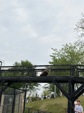 秋田市大森山動物園に投稿された画像（2026/5/3）