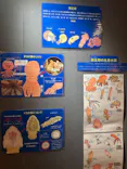 しながわ水族館に投稿された画像（2026/5/3）