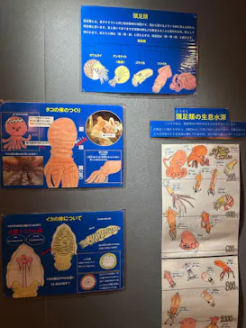 しながわ水族館に投稿された画像（2026/5/3）
