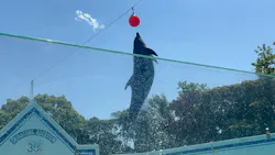 しながわ水族館に投稿された画像（2026/5/3）