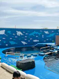 仙台うみの杜水族館に投稿された画像（2026/5/3）