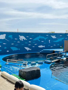 仙台うみの杜水族館に投稿された画像（2026/5/3）