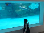 越前松島水族館に投稿された画像（2026/5/3）
