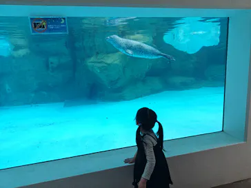 越前松島水族館に投稿された画像（2026/5/3）