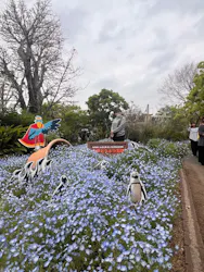神戸どうぶつ王国に投稿された画像（2026/5/3）