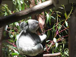 多摩動物公園に投稿された画像（2026/5/3）
