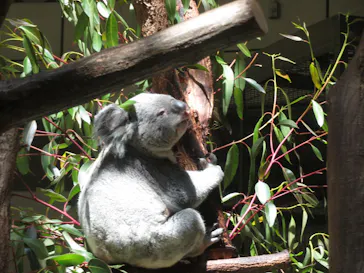 多摩動物公園に投稿された画像（2026/5/3）