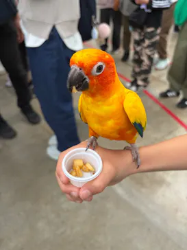 掛川花鳥園に投稿された画像（2026/5/3）
