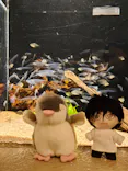 しながわ水族館に投稿された画像（2026/5/3）