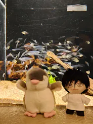 しながわ水族館に投稿された画像（2026/5/3）