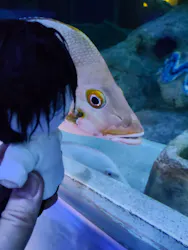 しながわ水族館に投稿された画像（2026/5/3）