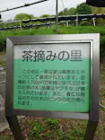 万博記念公園に投稿された画像（2026/5/3）