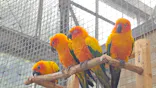 掛川花鳥園に投稿された画像（2026/5/3）