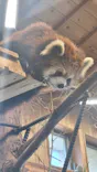 伊豆シャボテン動物公園に投稿された画像（2026/5/3）