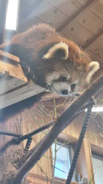 伊豆シャボテン動物公園に投稿された画像（2026/5/3）