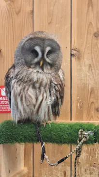 伊豆シャボテン動物公園に投稿された画像（2026/5/3）