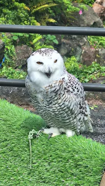 伊豆シャボテン動物公園に投稿された画像（2026/5/3）