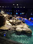 すみだ水族館に投稿された画像（2026/5/3）