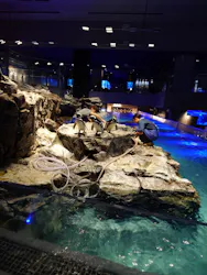 すみだ水族館に投稿された画像（2026/5/3）