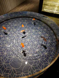 すみだ水族館に投稿された画像（2026/5/3）