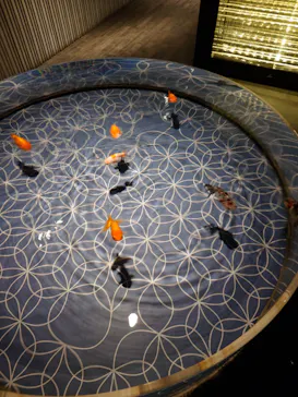 すみだ水族館に投稿された画像（2026/5/3）