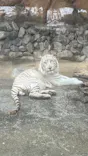 東武動物公園に投稿された画像（2026/5/3）