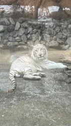 東武動物公園に投稿された画像（2026/5/3）