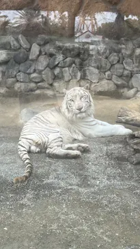 東武動物公園に投稿された画像（2026/5/3）