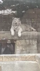 東武動物公園に投稿された画像（2026/5/3）